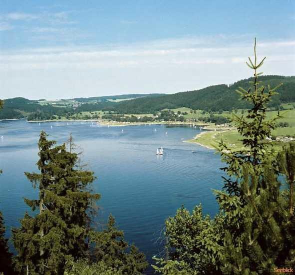 Hotel Seeblick Saalburg Bagian luar foto